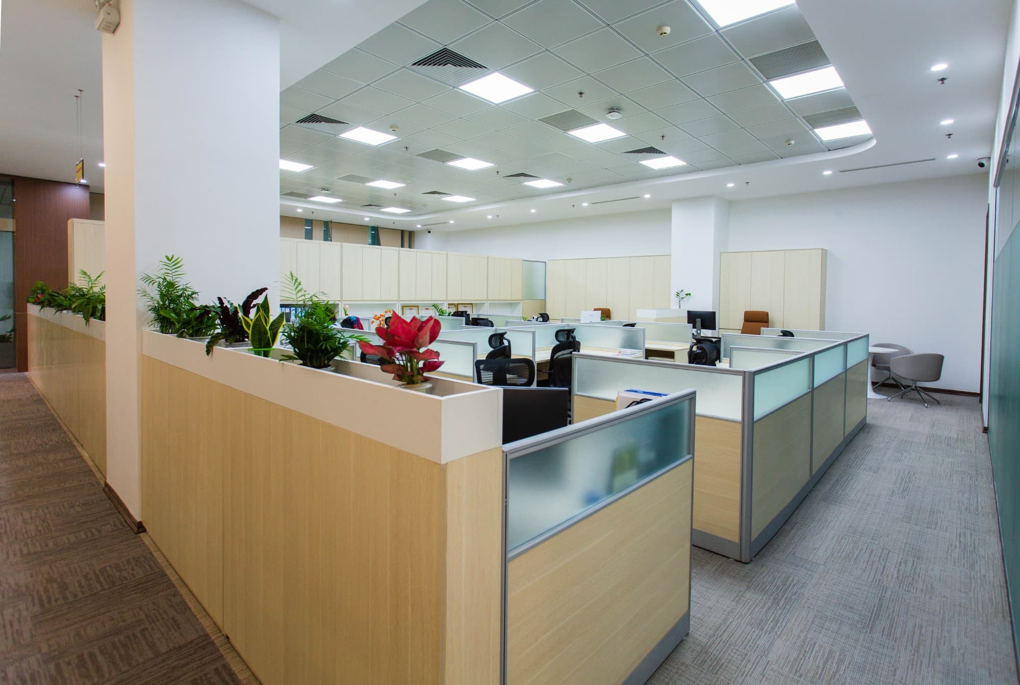 Open-plan office with desk workstations, planters and bright ceiling lighting